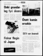 Síða 5