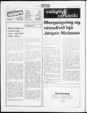 Síða 6