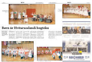 Síða 8