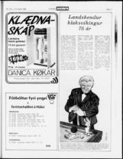 Síða 17