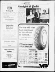 Síða 19