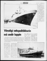 Síða 2