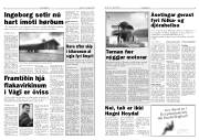Síða 3