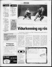 Síða 23