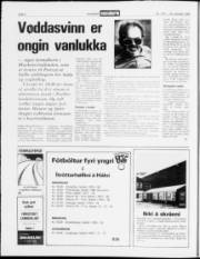 Síða 4