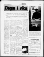 Síða 5