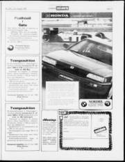 Síða 17