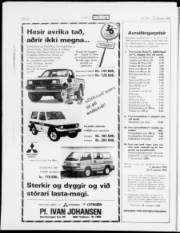 Síða 20