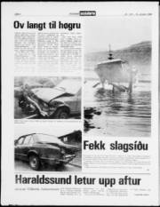 Síða 4