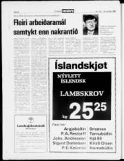 Síða 20