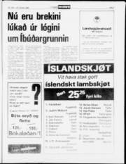 Síða 9