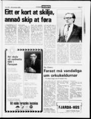 Síða 17