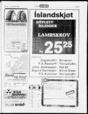 Síða 19