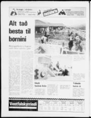 Síða 24