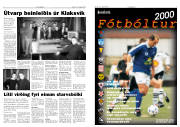 Síða 4