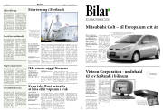 Síða 8