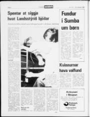 Síða 2