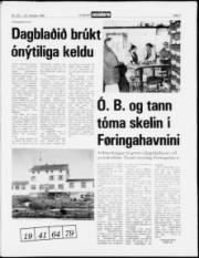 Síða 3