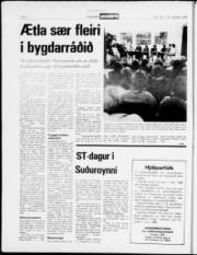 Síða 4