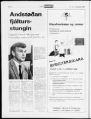 Síða 10