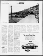 Síða 17