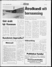 Síða 19