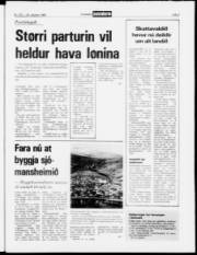 Síða 3