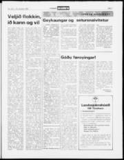 Síða 7
