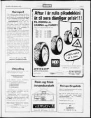Síða 21