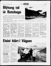 Síða 5