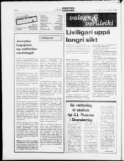 Síða 6