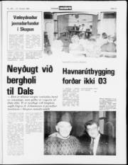 Síða 15