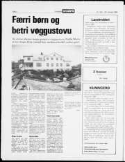 Síða 2