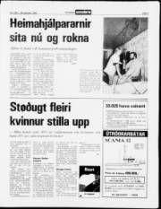 Síða 3