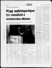 Síða 20