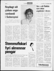 Síða 8