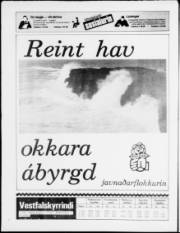 Síða 24