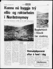 Síða 3
