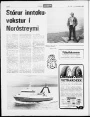 Síða 8