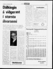 Síða 13