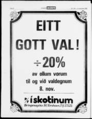 Síða 22