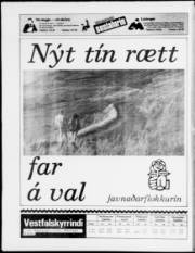 Síða 24