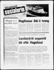Síða 1