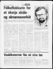 Síða 3
