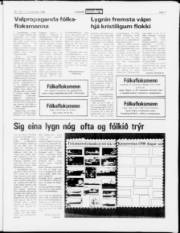 Síða 7