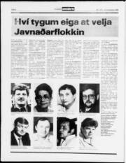Síða 8