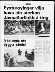 Síða 9