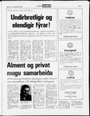 Síða 11