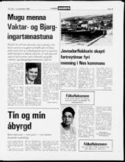 Síða 13