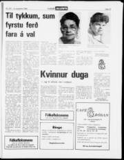 Síða 15
